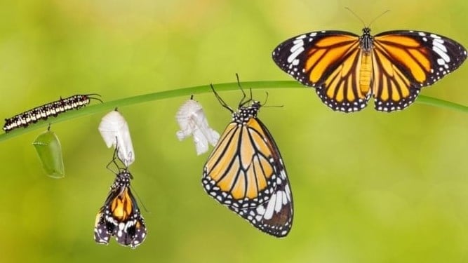 AdobeStock_114447817-750x500-1-1